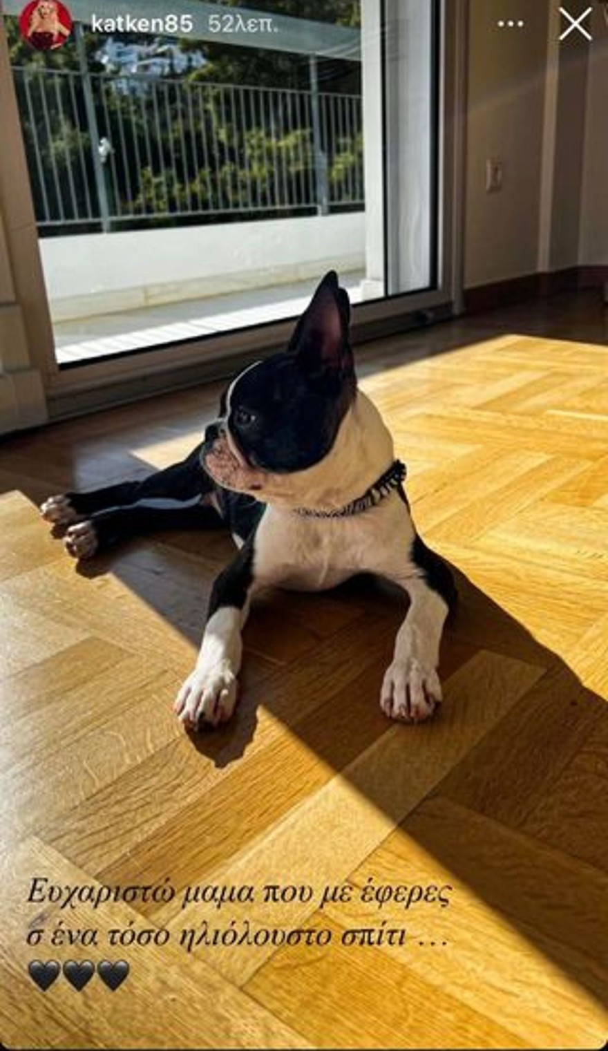 Toνέο σπίτι της  Κατερίνας Καινούργιου