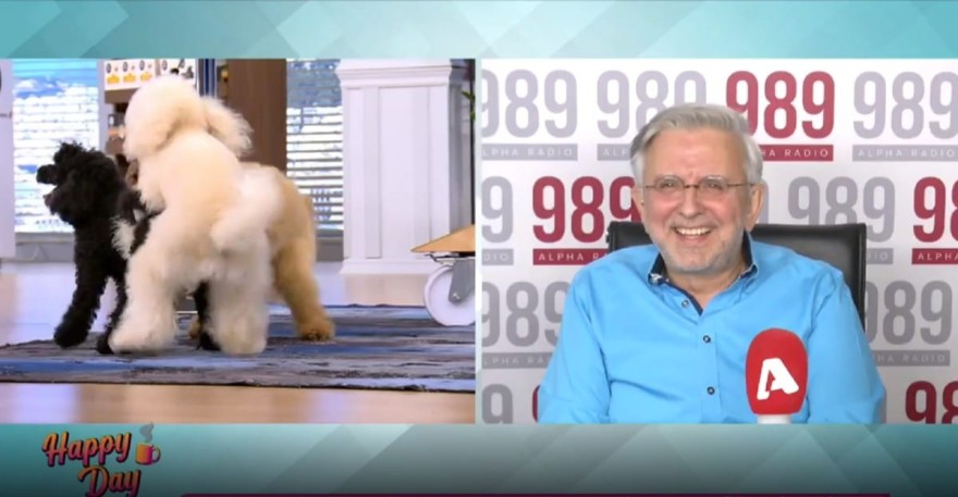 Το περιστατικό με τα σκυλιά της Μαρίας Καλάβρια στο Happy Day