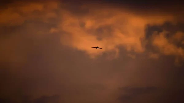 Καιρός (24/6): Αισθητή πτώση της θερμοκρασίας - Σε ποιες περιοχές θα βρέξει;