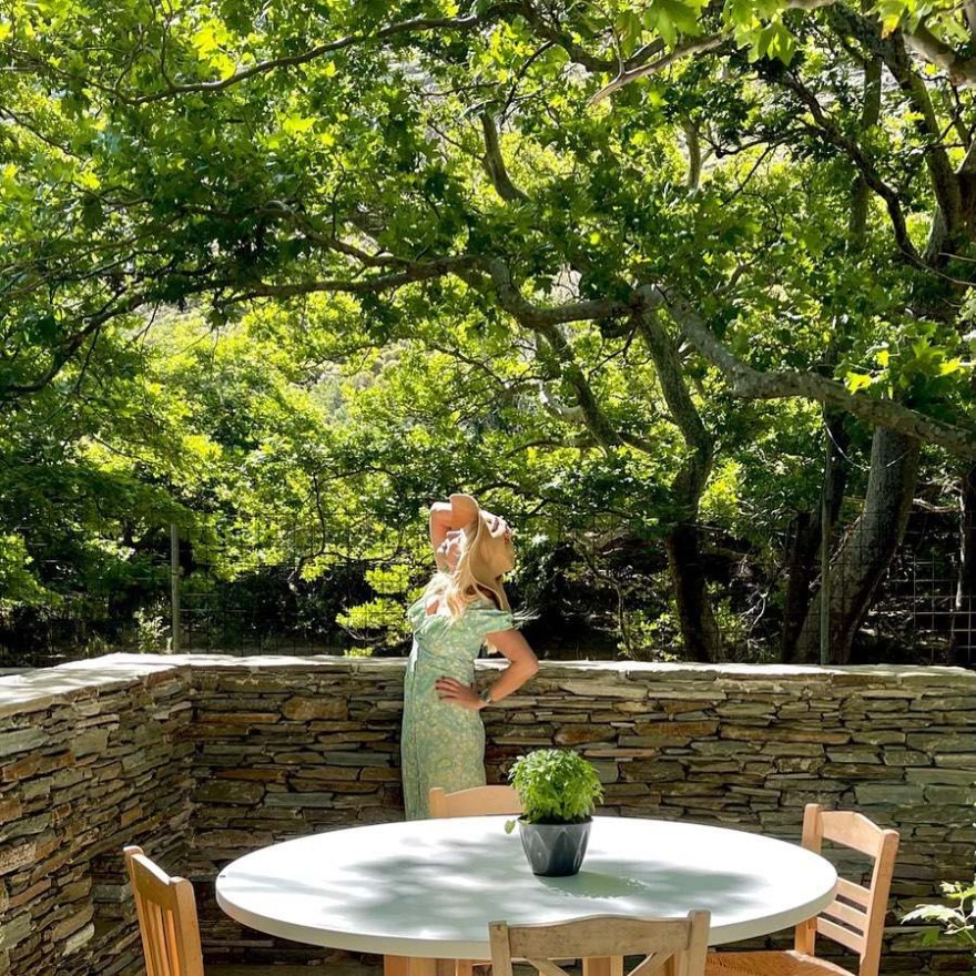 Ελένη Μενεγάκη φυτό