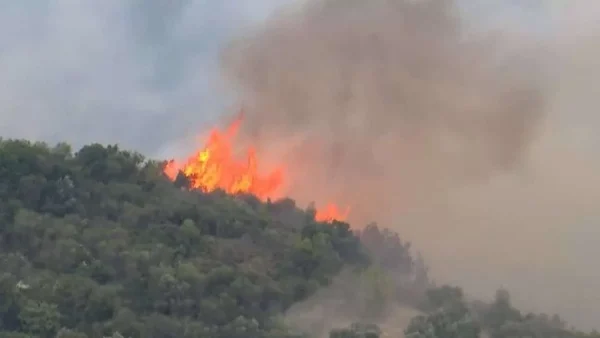 Νέες φωτιές ανά την Ελλάδα - Τρία πύρινα μέτωπα αυτή τη στιγμή σε...