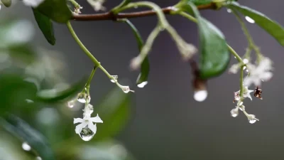 Καιρός (20/6): Συννεφιά και τοπικές βροχές