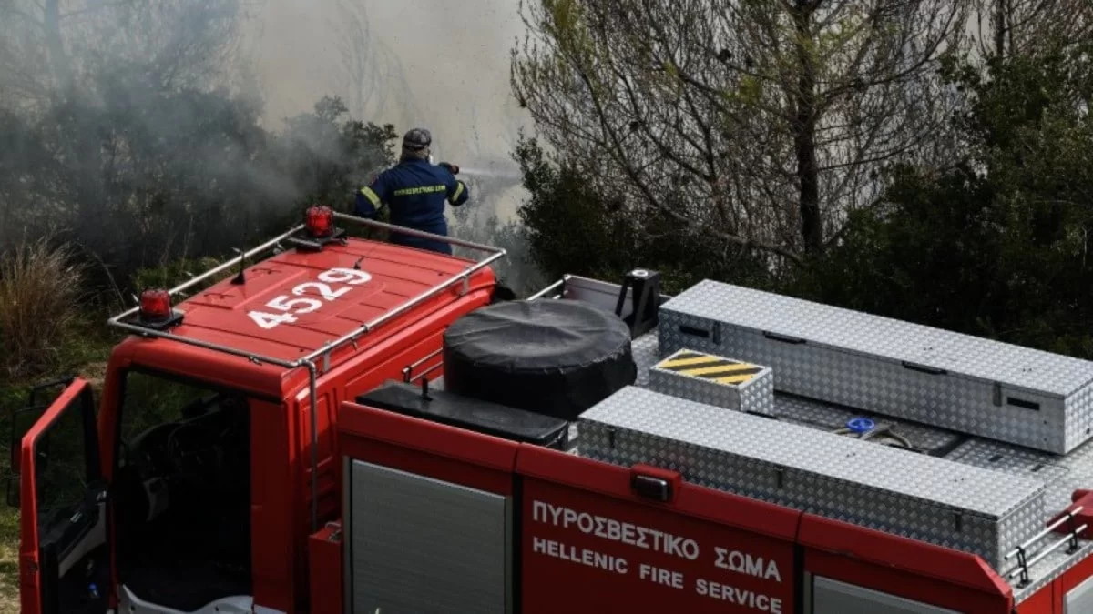 Φωτιά τώρα στη Φωκίδα - Συναγερμός στην Πυροσβεστική