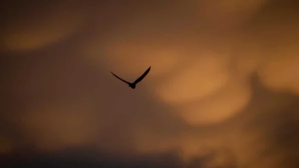 Καιρός (16/6): Μικρή πτώση της θερμοκρασίας - Μέχρι πού θα φτάσει ο υδράργυρος;