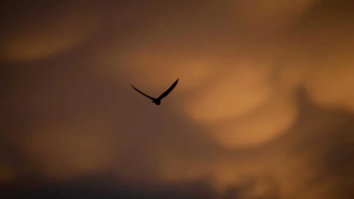 Καιρός (16/6): Μικρή πτώση της θερμοκρασίας - Μέχρι πού θα φτάσει ο υδράργυρος;