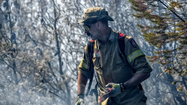 Φωτιά στην Χαλκιδική