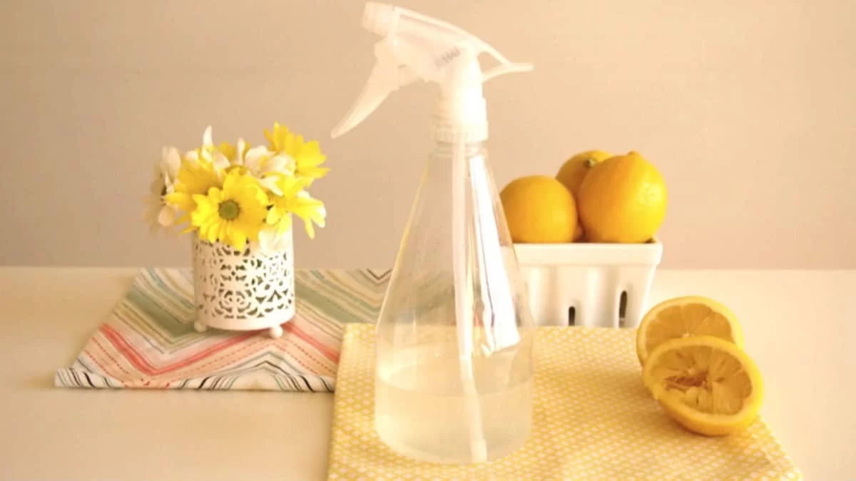 Για να μην χαλάς τσάμπα τα λεφτά σου: Χρησιμοποίησε το λεμόνι για αρωματικού χώρου - Θα μοσχομυρίσει όλο το σπίτι