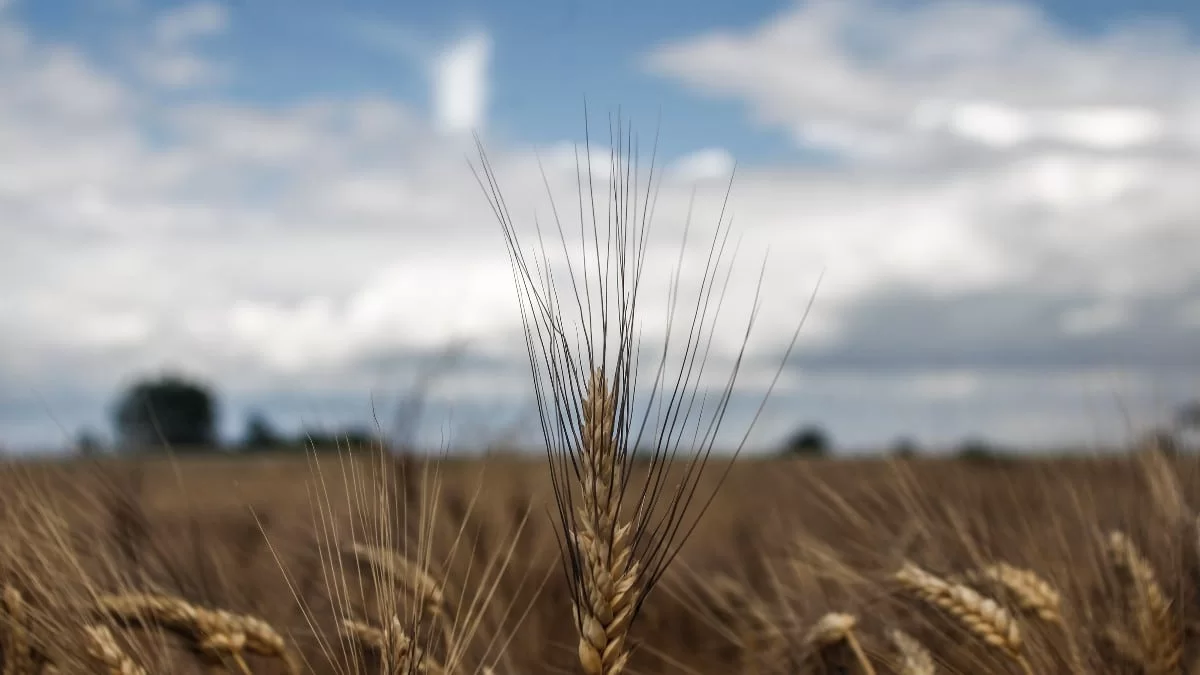 Καιρός 18/6: Ξεκινάνε πάλι βροχές - Που θα είναι έντονα τα φαινόμενα
