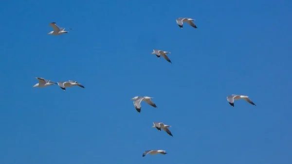 Καιρός (27/6): Σε υψηλά επίπεδα και σήμερα ο υδράργυρος - Μέχρι πού θα φτάσει η θερμοκρασία