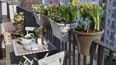 Είναι μόνο τρία αλλά κάνουν θαύματα - Τα φυτά που διώχνουν μακριά τα κουνούπια