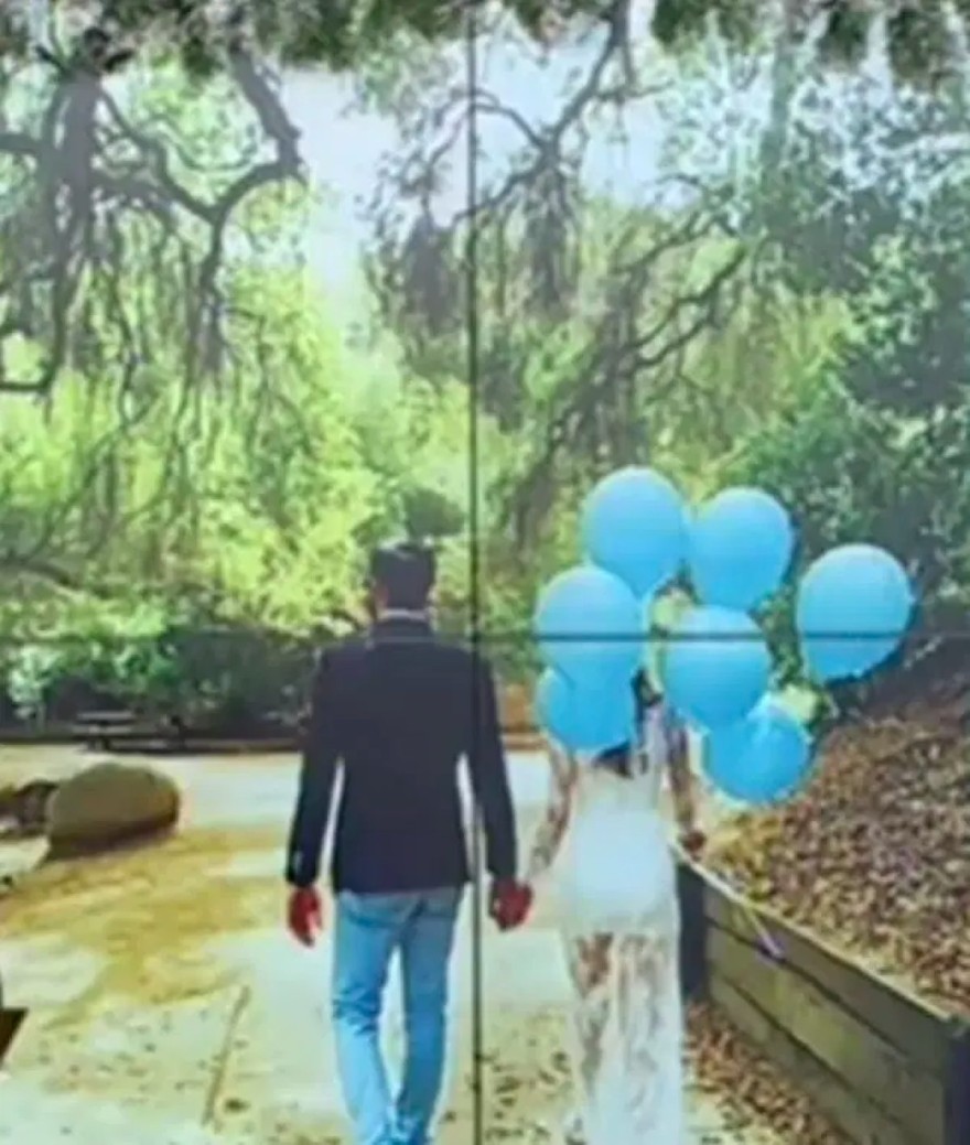 Ηλιάνα Παπαγεωργίου γάμος