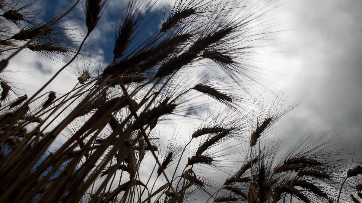 Καιρός: Δώστε προσοχή - Έρχονται βροχές και καταιγίδες από το μεσημέρι και μετά
