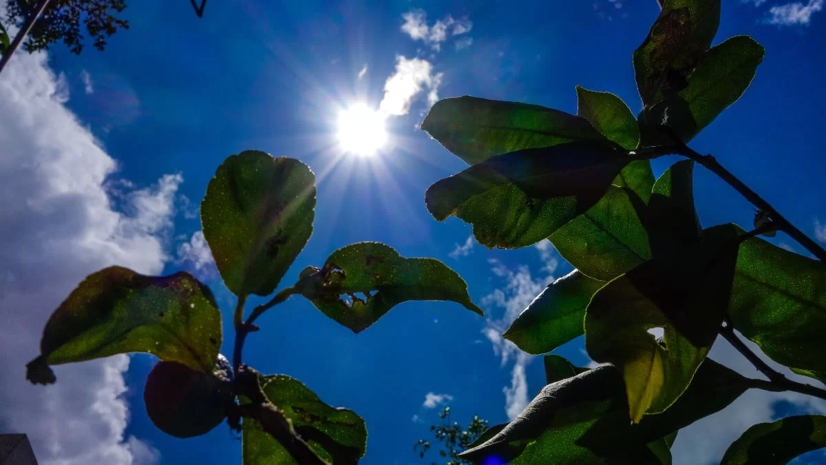 Καιρός Κυριακή 19/6: Που προβλέπεται να έχουμε καταιγίδες - Μέχρι 7 θα φτάσουν τα μποφόρ