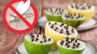 Δεν θα σας πλησιάζουν καν: Απαλλαχτείτε οριστικά από τα έντομα του καλοκαιριού χρησιμοποιώντας λεμόνι