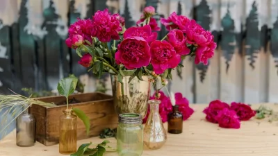 Θα μείνουν "ζωντανά" για περισσότερο καιρό: Το πανέξυπνο κόλπο με λεμόνι και ζάχαρη για τα φυτά σας