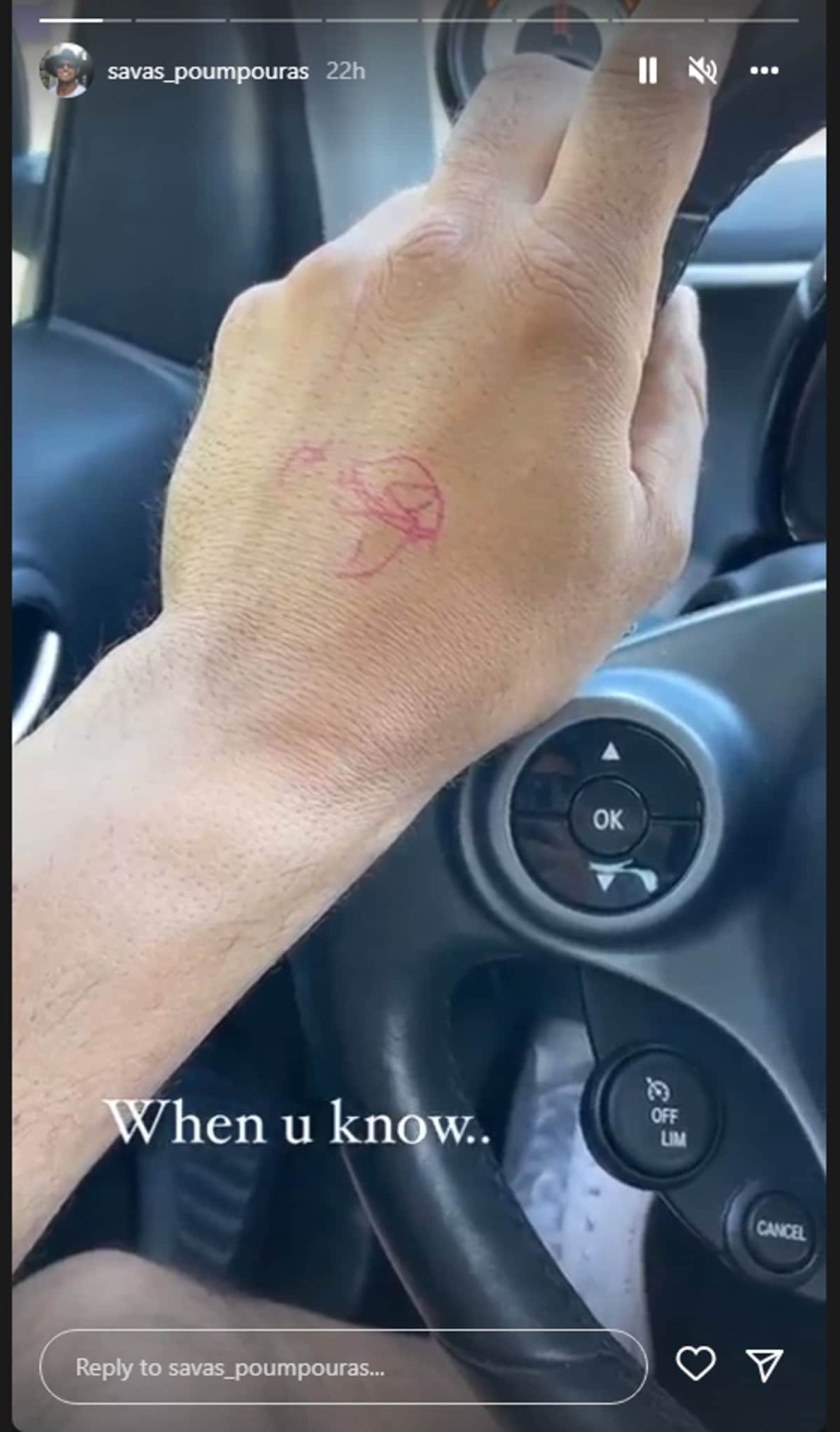 Κύνθια κόρη Πούμπουρα