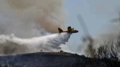 Φωτιά στην Ηλεία: Συνελήφθη κάτοικος της περιοχής για εμπρησμό