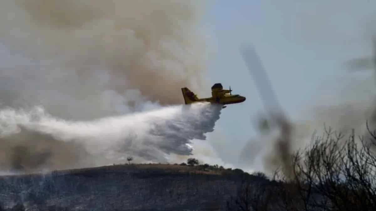Φωτιά στην Ηλεία: Συνελήφθη κάτοικος της περιοχής για εμπρησμό