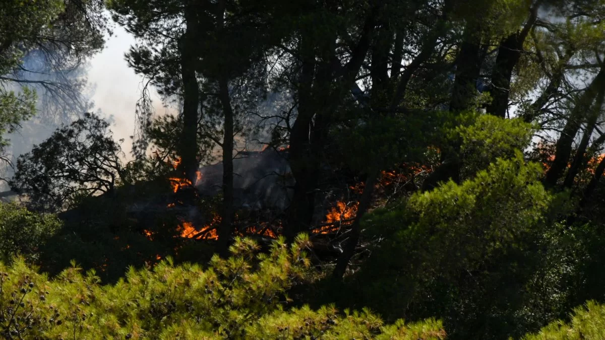 Φωτιά στη Σκάλα Λακωνίας