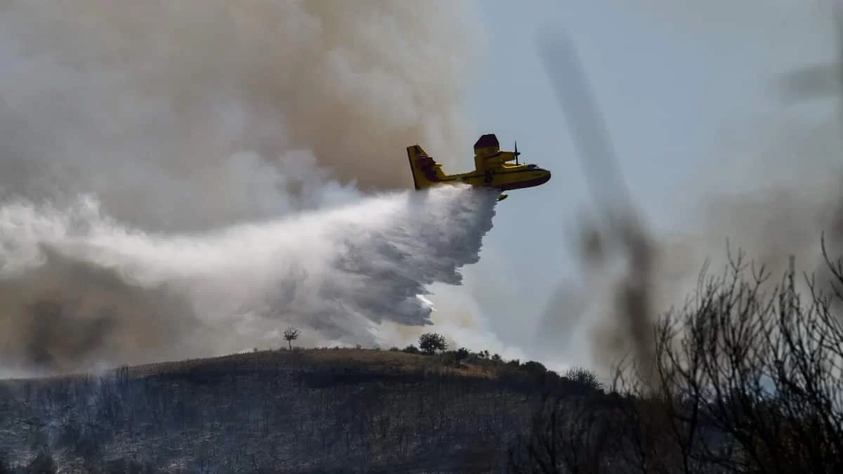 Φωτιά στην Παλλήνη: Καρέ - Καρέ το βίντεο ντοκουμέντο από τον εμπρησμό - Ύποπτος ένας μαυροφορεμένος άνδρας
