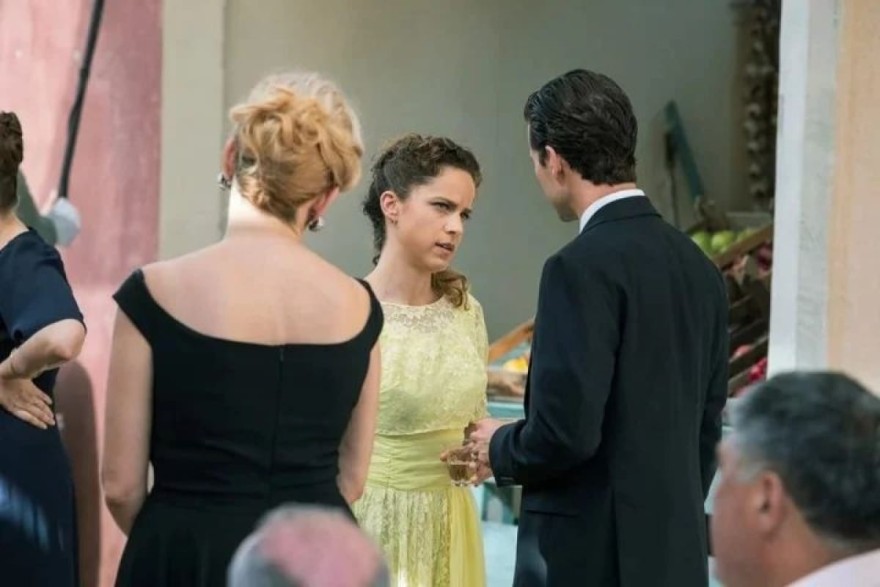 Άγριες Μέλισσες