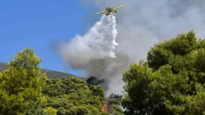 Φωτιά στην περιοχή Τολοφώνα Φωκίδας