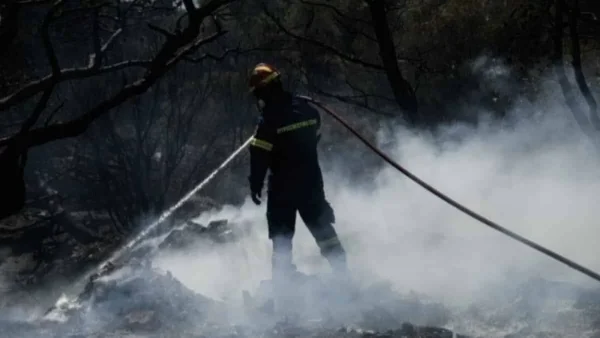 Φωτιά στο Μάζι Βοιωτίας