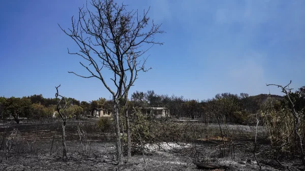 Νέα αναζωπύρωση στην Λέσβο - Εκκένωνεται το χωριό Βρίσα