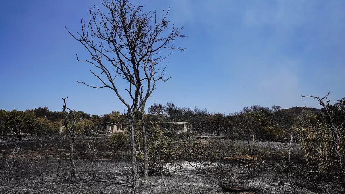 Νέα αναζωπύρωση στην Λέσβο - Εκκένωνεται το χωριό Βρίσα