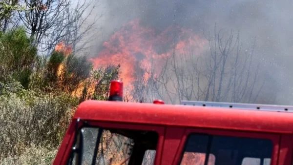 Η φωτιά στον Έβρο σαρώνει το δάσος της Δαδιάς - Η έκτακτη ενημέρωση του εκπρόσωπου της Πυροσβεστικής
