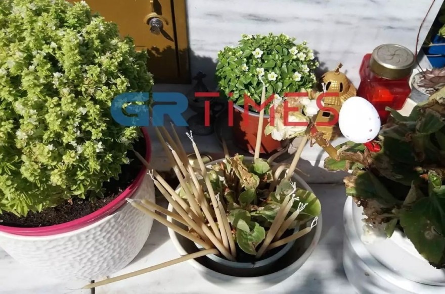 Το μνήμα της Κάρολαιν Κράουτς στην Αλόννησο επισκέπτονται για να της αφήσουν ένα λουλούδι