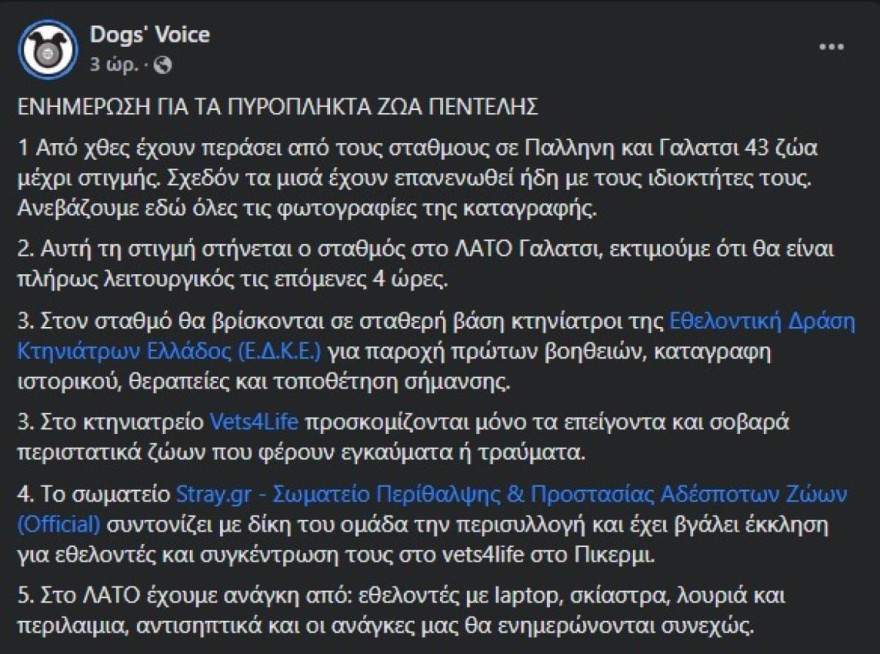 Φωτιά Πεντέλη - Dog's Voice βοήθεια