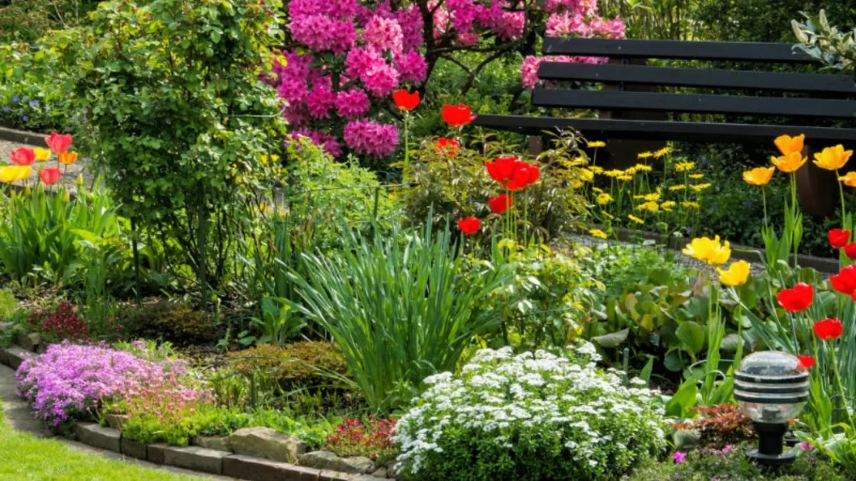 Μπορεί να προκαλέσει μέχρι και τοξική δηλητηρίαση - Το φυτό που υπάρχει σε όλα τα σπίτια κι είναι άκρως επικίνδυνο