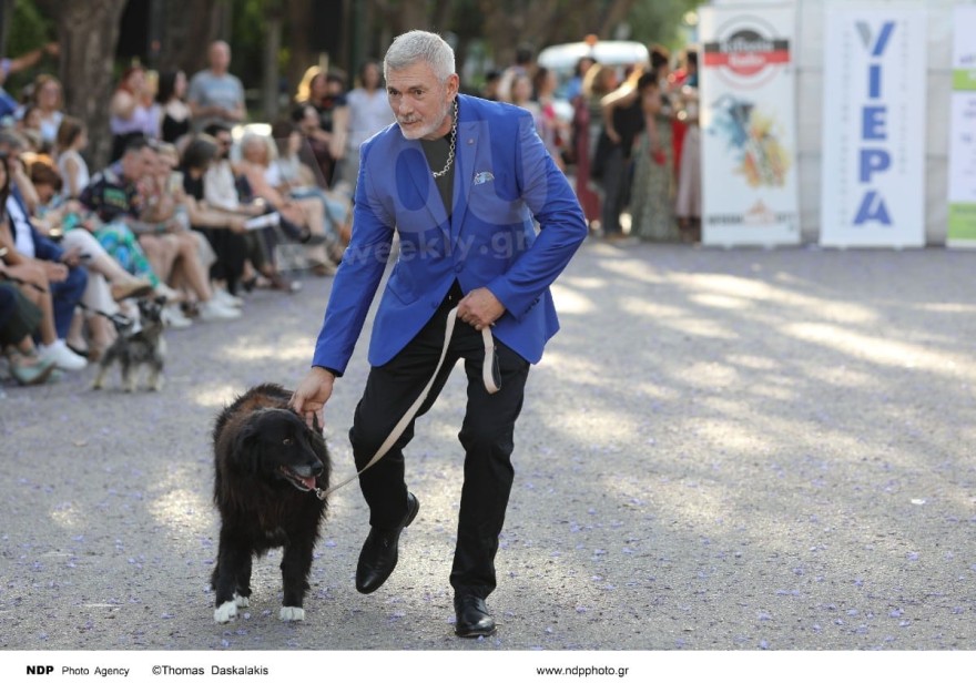 Ερρίκος Πετιλόν