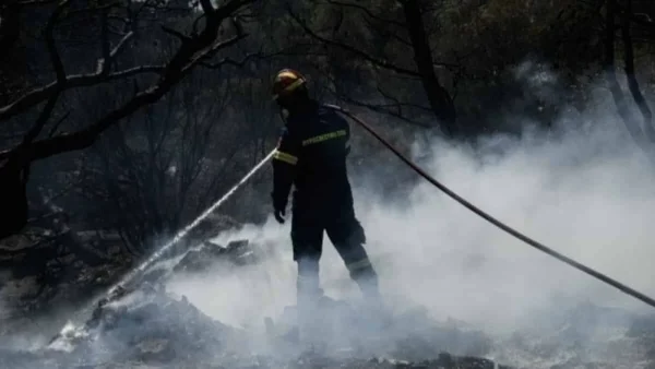 Πυρκαγιά στην Αλμυρή Κορινθίας