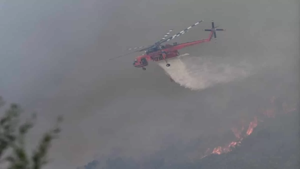 Πυρκαγιά στην Ηλεία: Αναζωπυρώθηκε η φωτιά στην περιοχή Βάλμη