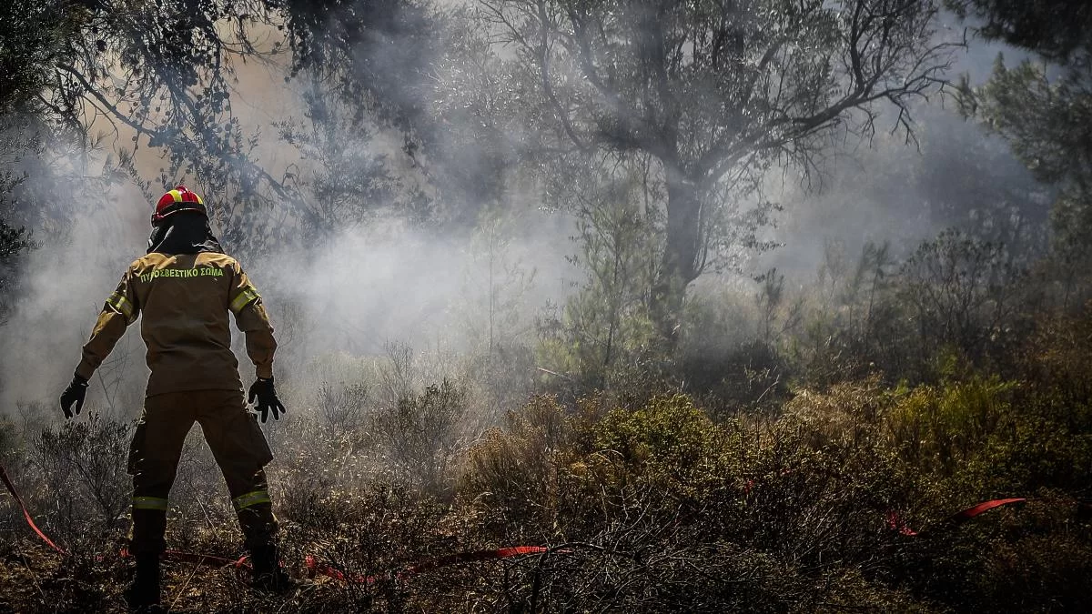 Φωτιά στα Μέγαρα