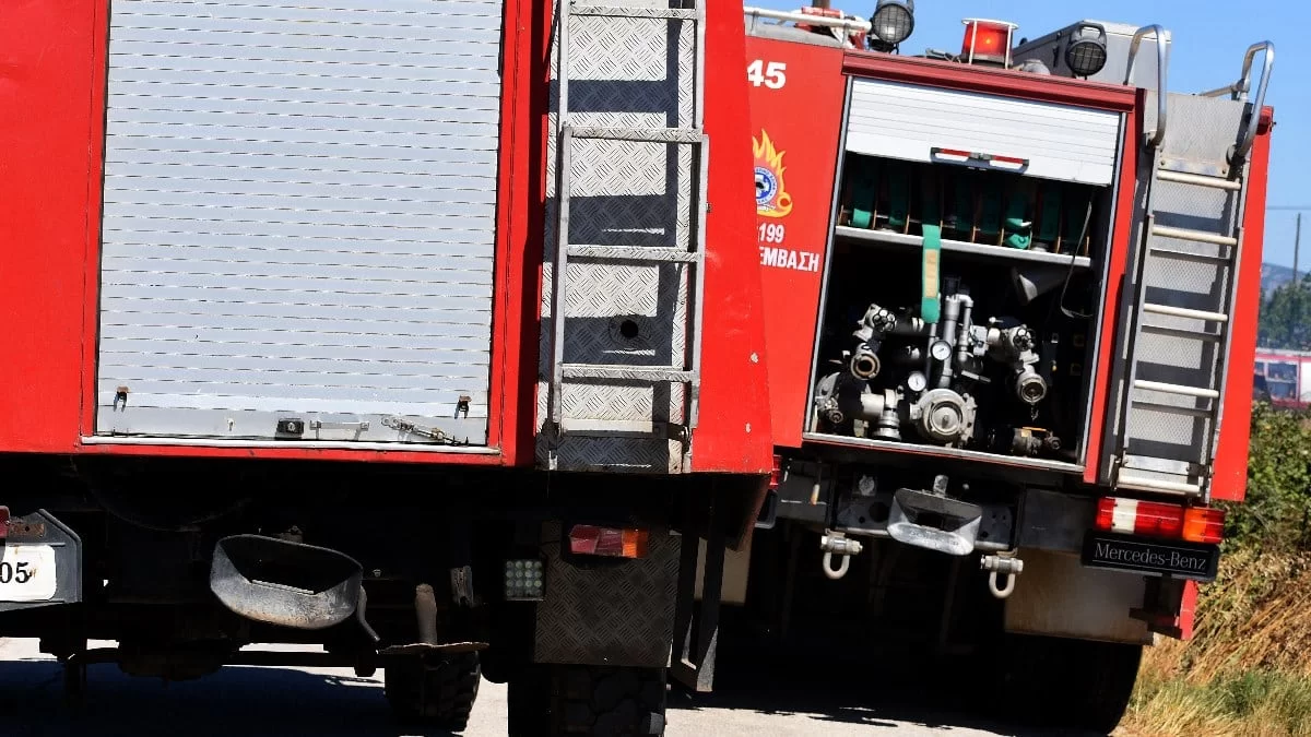 Φωτιά σε δασική έκταση στο Δίστομο Βοιωτίας