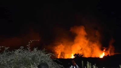 Φωτιά στον Δήμο Κύμης Αλιβερίου