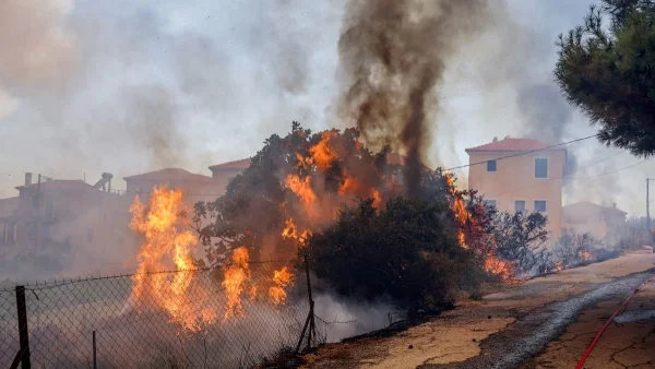 Χωρίς ενεργά μέτωπα η φωτιά στη Λέσβο - Εικόνες φρίκης με τους κατοίκους του νησιού να τρέχουν να σωθούν
