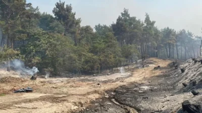 Τέλος στον εφιάλτη με την φωτιά στον Έβρο - Άρχισε να βρέχει