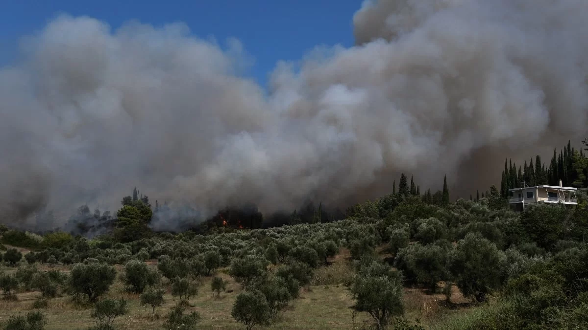Φωτιά σε Σκαραμαγκά και Ωρωπό