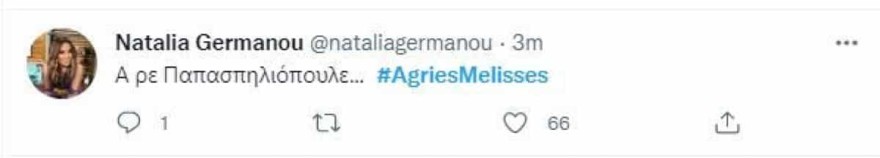 Το σχόλιο της Γερμανού για τον Παπασπηλιόπουλο στις Άγριες Μέλισσες