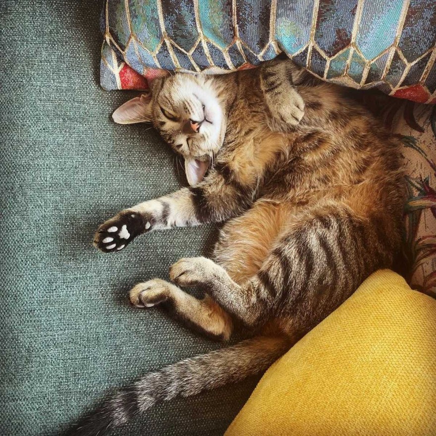 Κατερίνα Καραβάτου Instagram