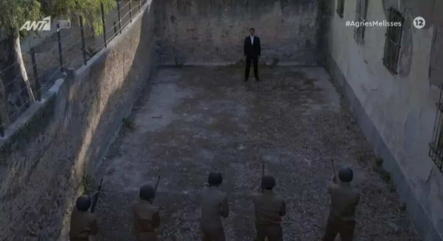 Άγριες Μέλισσες - Μελέτης