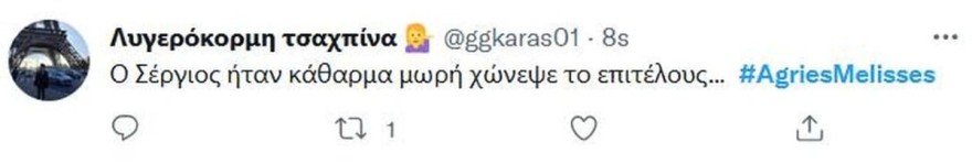 Μυρσίνη - twitter