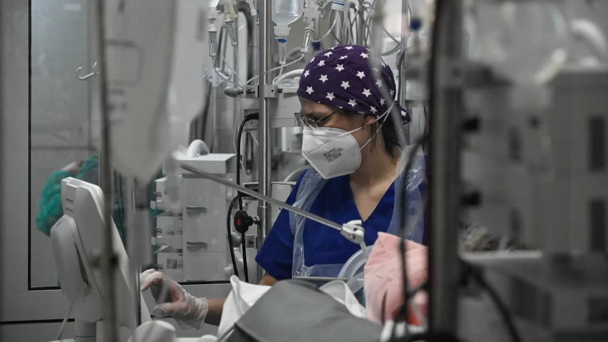 Εύβοια: 6χρονος νοσηλεύεται στη ΜΕΘ - Δαγκώθηκε από ροτβάιλερ