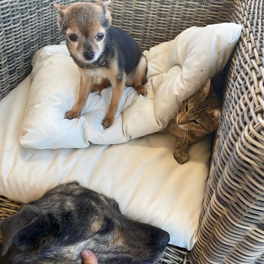  Οι οργισμένες αναρτήσεις του Σταύρου Νικολαϊδη με τις καταστροφές από την φωτιά