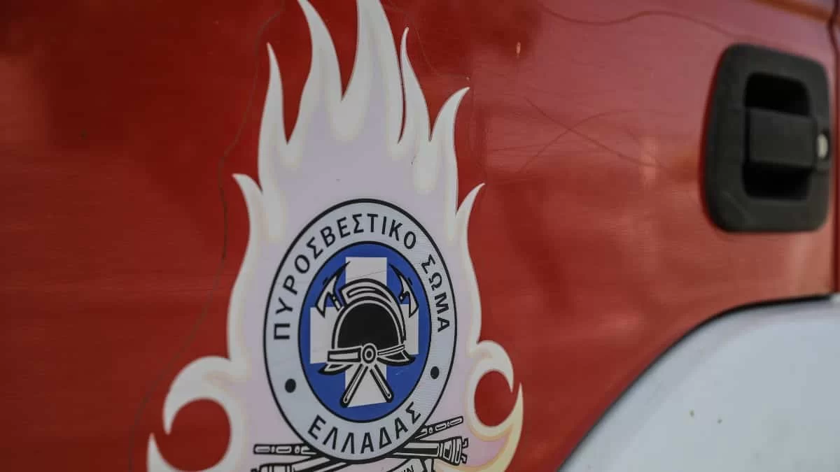 Φωτιά στη Ροδιά Ηλείας