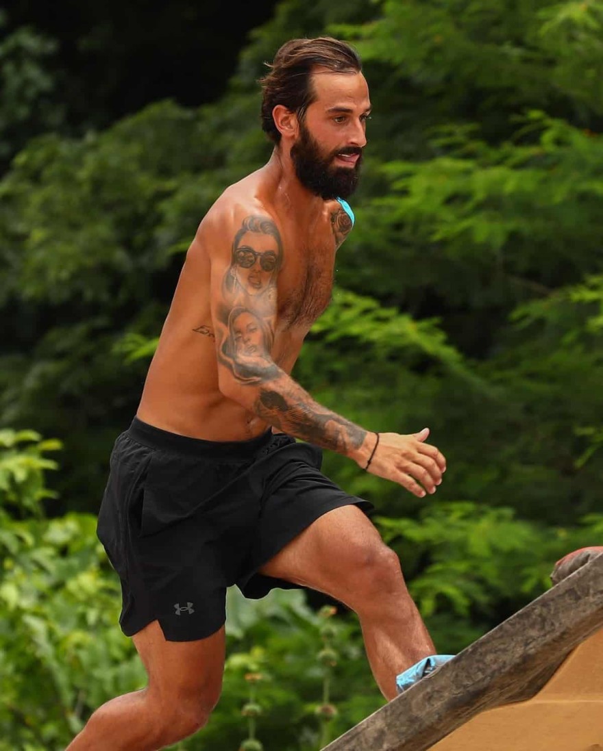 Σοϊλέδης - Survivor